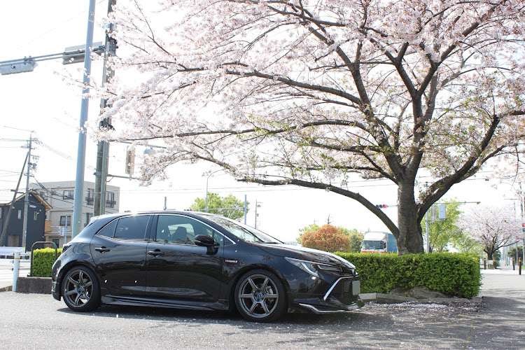 カローラスポーツの桜と愛車・桜・豊田市美術館に関するカスタム事例の投稿画像5枚目