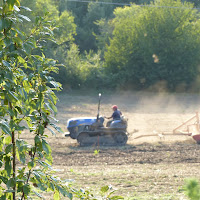 Macchine in agricoltura di 