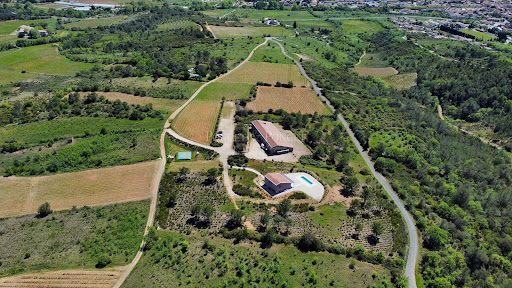 Vineyard with pool 2