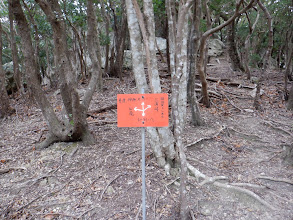 右から先程の分岐と合流