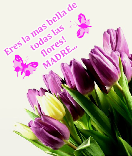 Frases con Flores