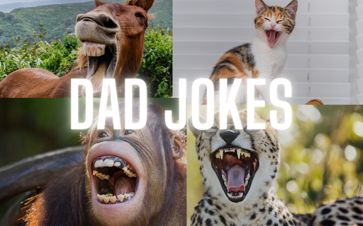 Dad Jokes