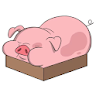 Waddles WAStickerApps icon