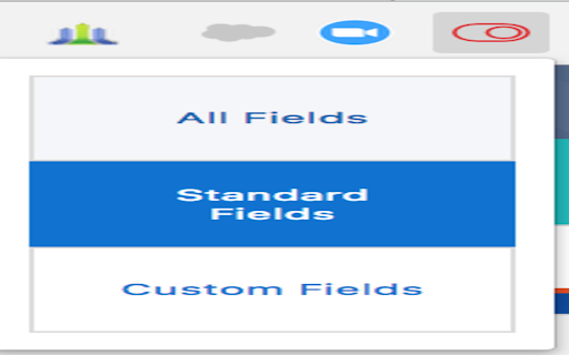 Salesforce Lightning Setup Field Type Toggle