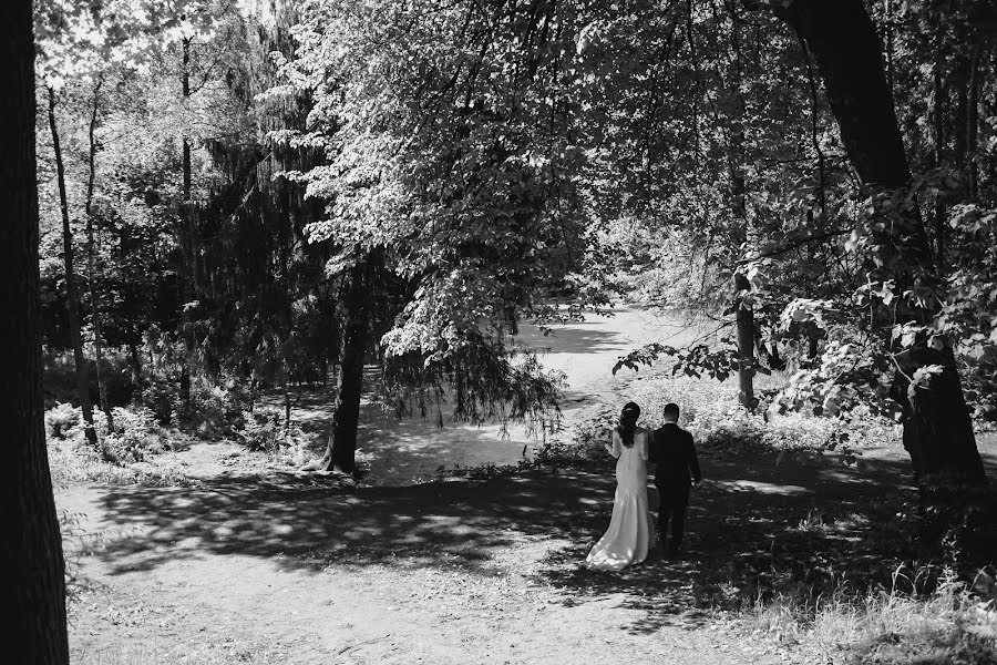 Fotografo di matrimoni Daniil Virov (virov). Foto del 15 giugno 2016