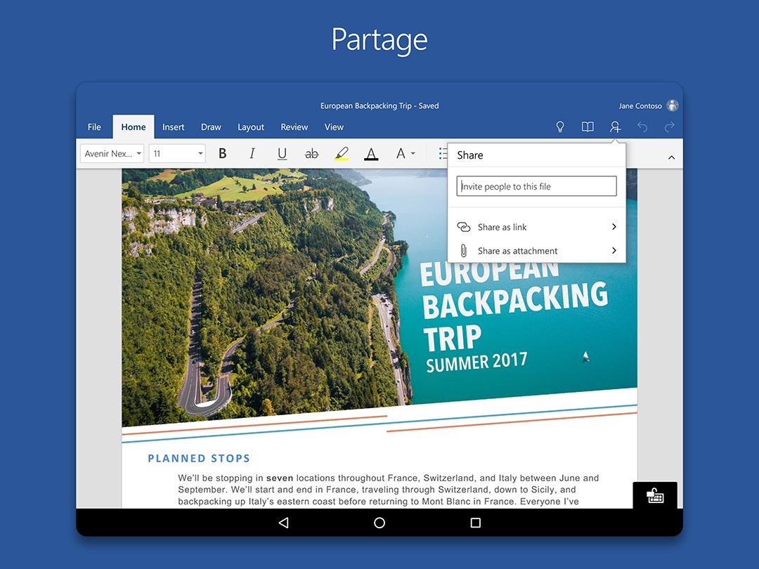   Microsoft Word – Capture d'écran 