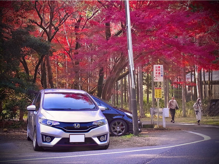 フィットのDIY・プチ整形・自己満足・お洒落は細部に宿る❣️・車ボッチ💕に関するカスタム事例の投稿画像1枚目
