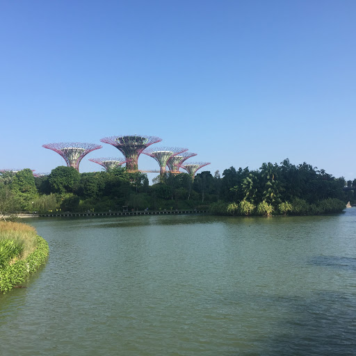 Gardens by the Bay