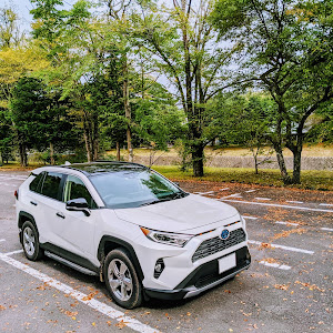 RAV4 AXAH54