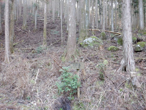 登山道の標識裏から下山