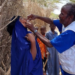 ケニア現地リポート：ダダーブ難民キャンプに迫り来る健康危機…資金援助が急務