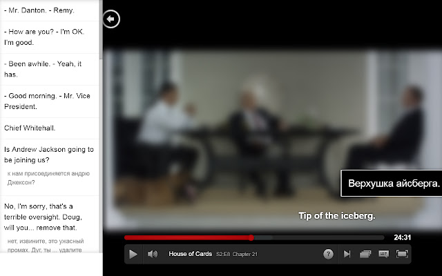 Netflix Subtitles Translator chrome extension