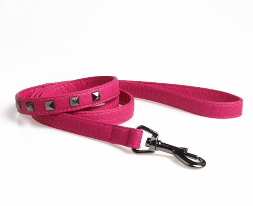 Title 7, Adjustable Dog Camisole and Stylish Studded Lea...
