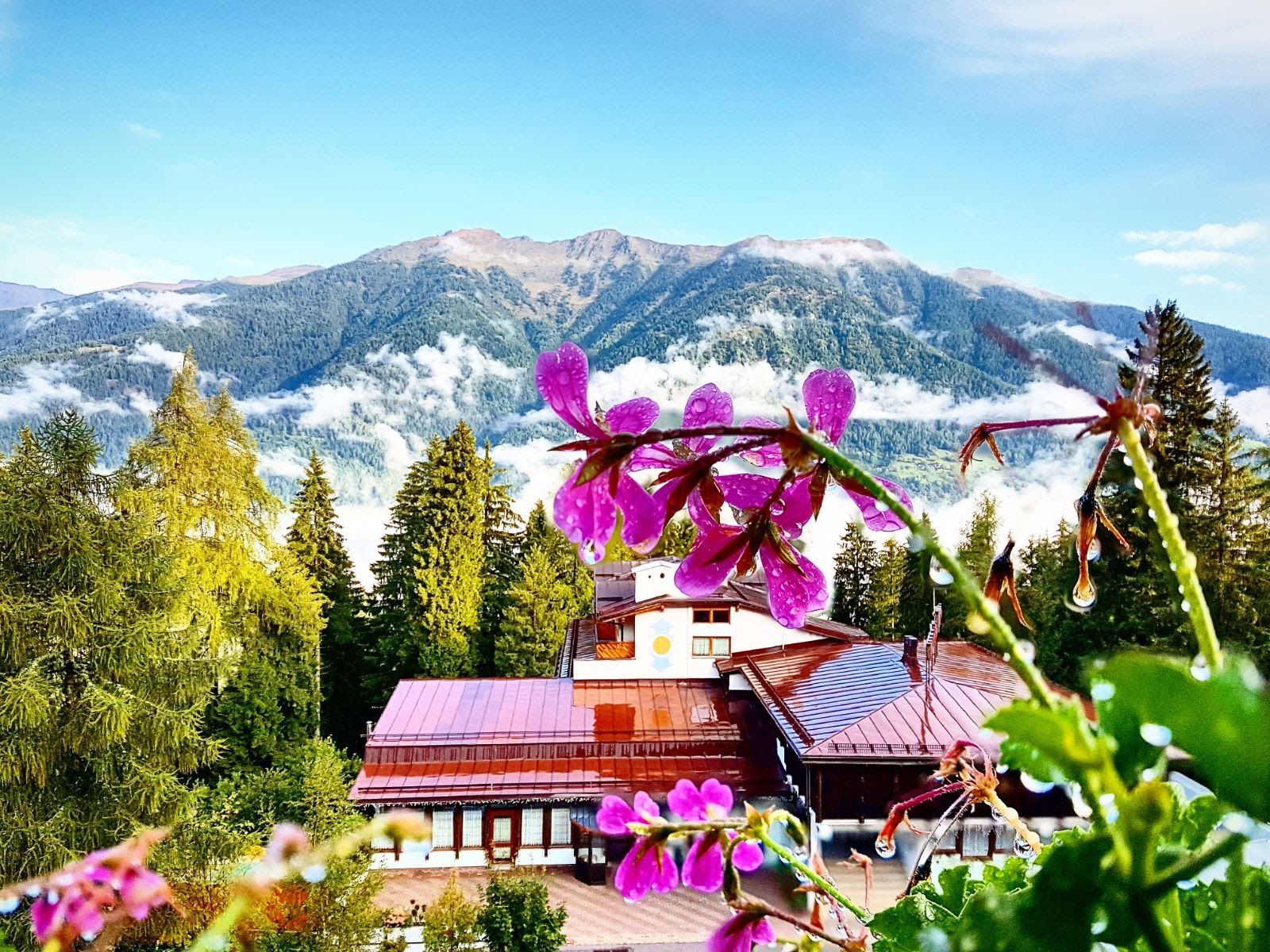 L'estate in montagna  di lisandro91