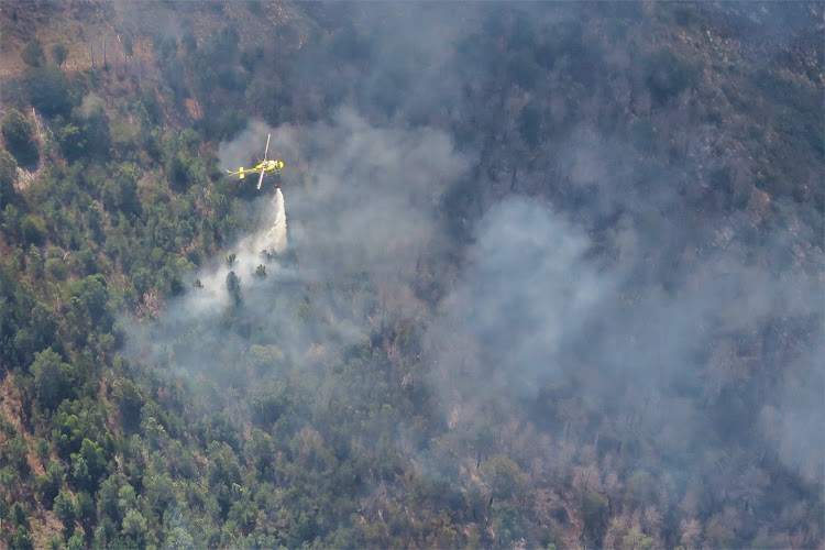 A trail of destruction was left by the wildfires that spread across the Garden Route at the end of October 2018. Ten people died and a R100m sawmill was destroyed.