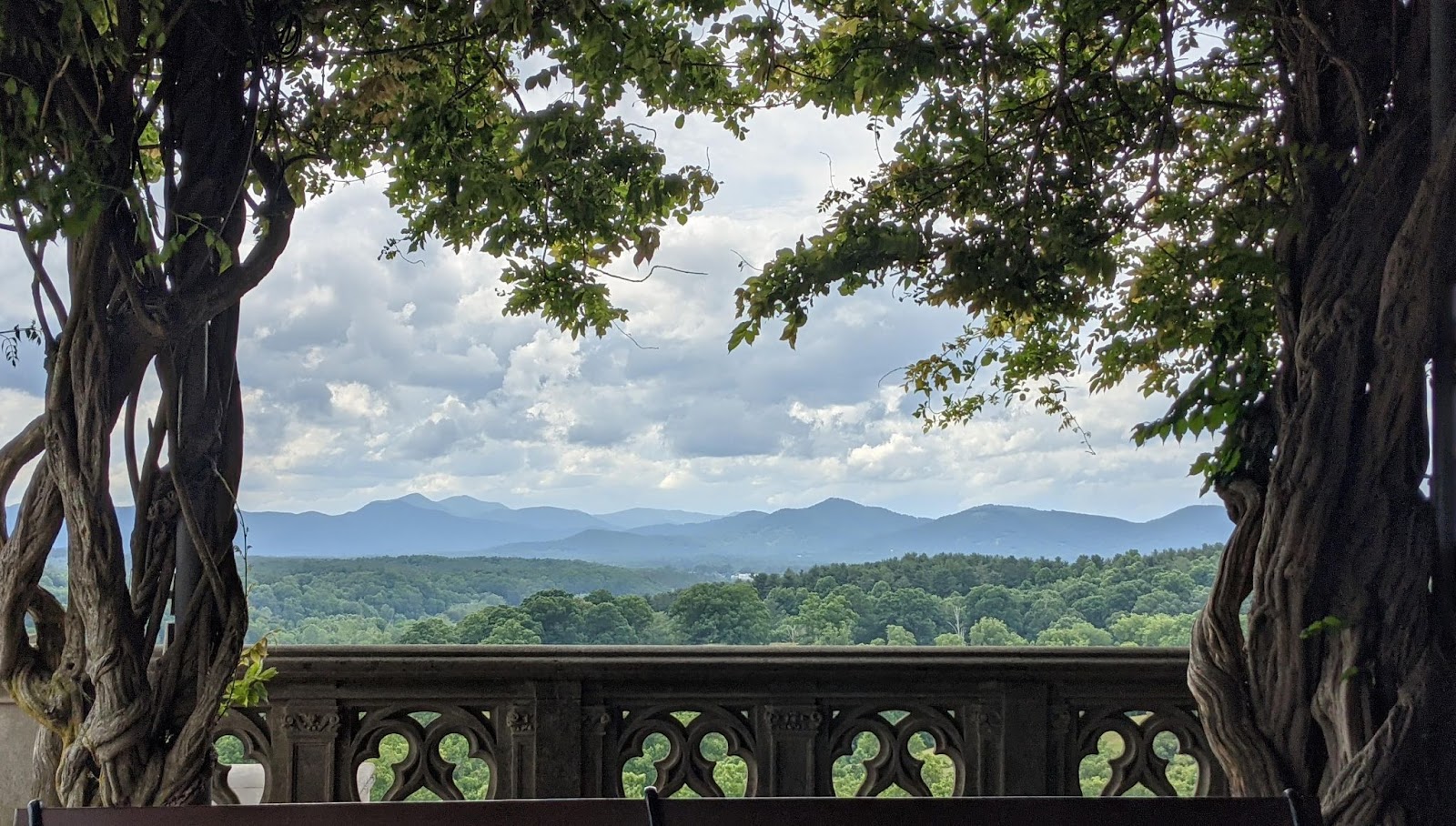 Terrace with a view