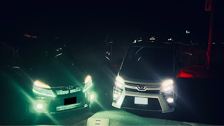 ヴォクシーのvoxy80前期・緑フォグ・VOXY好きと繋がりたい・VOXY愛・8月もよろしくお願いしますに関するカスタム事例の投稿画像2枚目