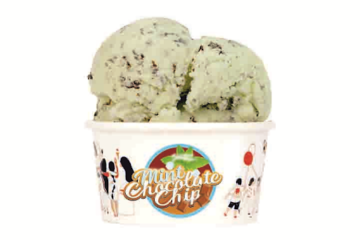 Mint Chocolate Chip Tub (600 ml)