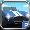 3D Car Parking Challenge icon