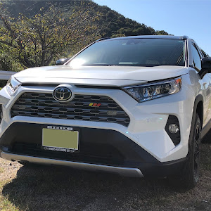 RAV4 MXAA54