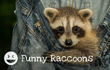 Funny Raccoons HD Wallpapers New Tab Theme small promo image