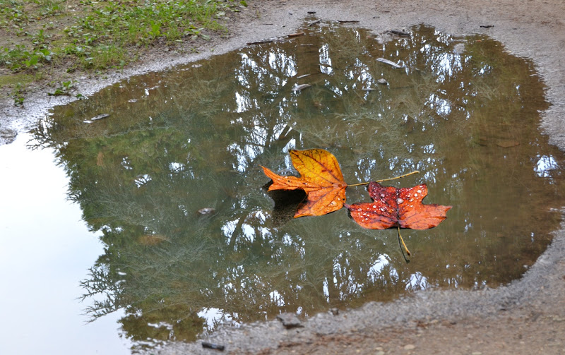 autunno sull'acqua di aeglos