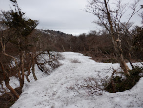 雪の上を歩く