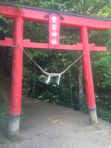 愛宕神社 鳥居