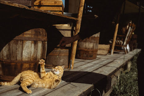 Svadobný fotograf Varvara Shevchuk (vvvarka). Fotografia publikovaná 26. februára 2020