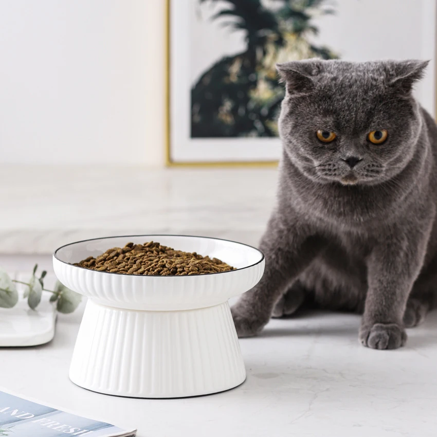 Gamelle haute en céramique anti-renversement pour grands chats. Stable, large et sûre. Idéale pour éviter les déversements et le gaspillage.