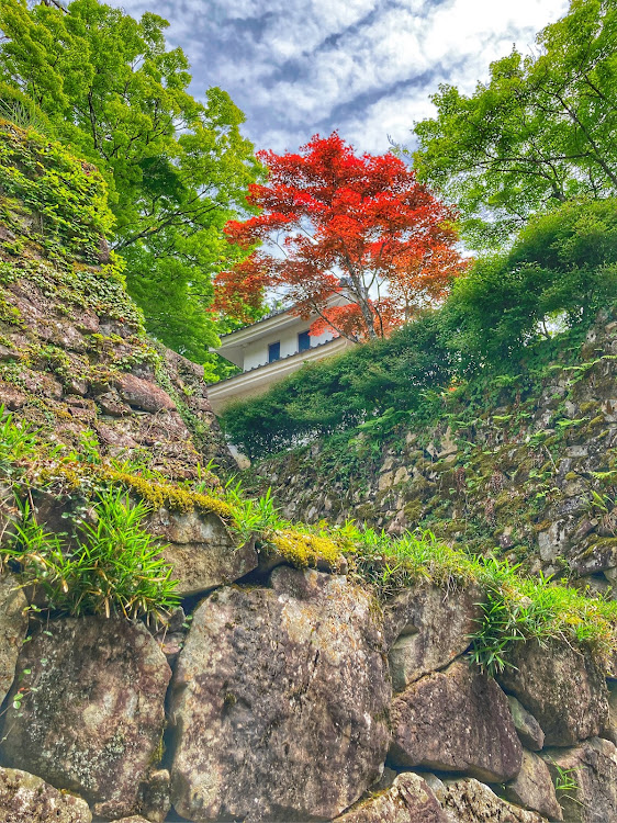 ボクスターの郡上八幡・郡上八幡城・慈恩禅寺・慈恩の滝に関するカスタム事例の投稿画像2枚目
