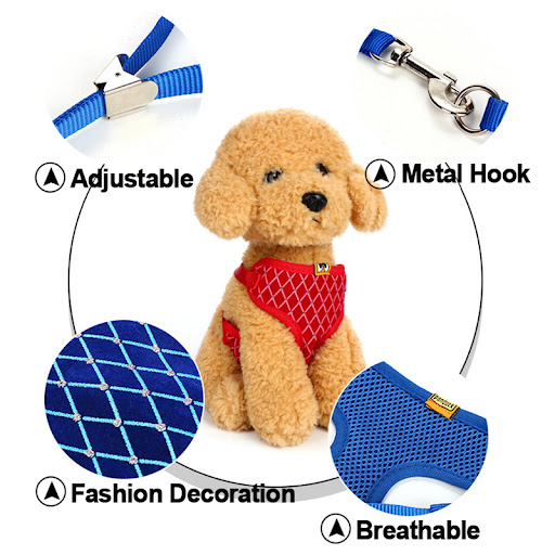 Title 3, Dog leash and cat leash for safe and comfortabl...