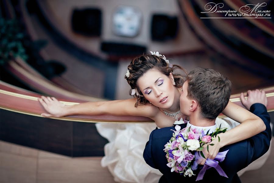 Wedding photographer Dmitriy Demidov (demidoff). Photo of 24 May 2013