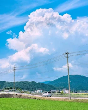 お稲荷様