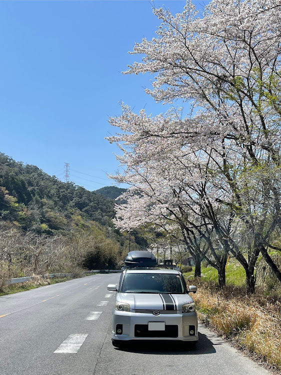 カローラルミオンのルミオン・サクラと愛車・ドライブに関するカスタム事例の投稿画像1枚目