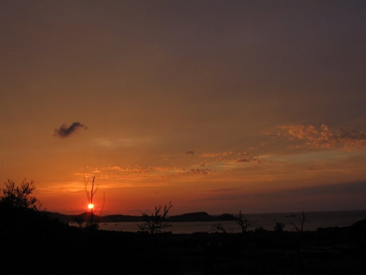 Tramonto sul golfo di Portoferraio di orni