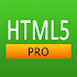 HTML5 Pro1.10 (Paid)