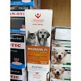 Sp Mới Miconazol Xịt Nấm Hanvet