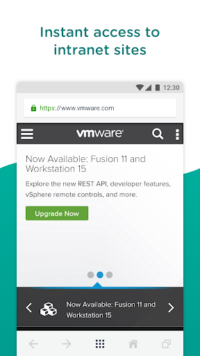 Screenshot Web - Workspace ONE