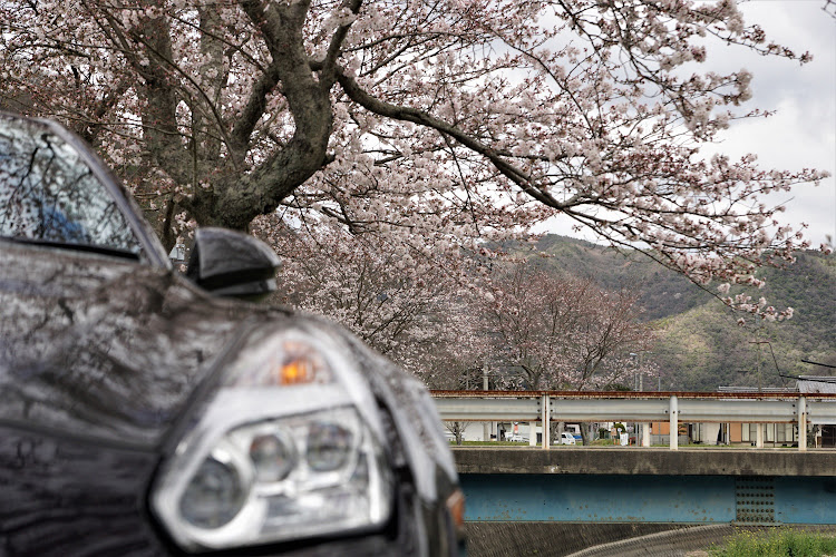 NISSAN GT-Rの桜・放浪・カメラ部活動・フライングに関するカスタム事例の投稿画像4枚目