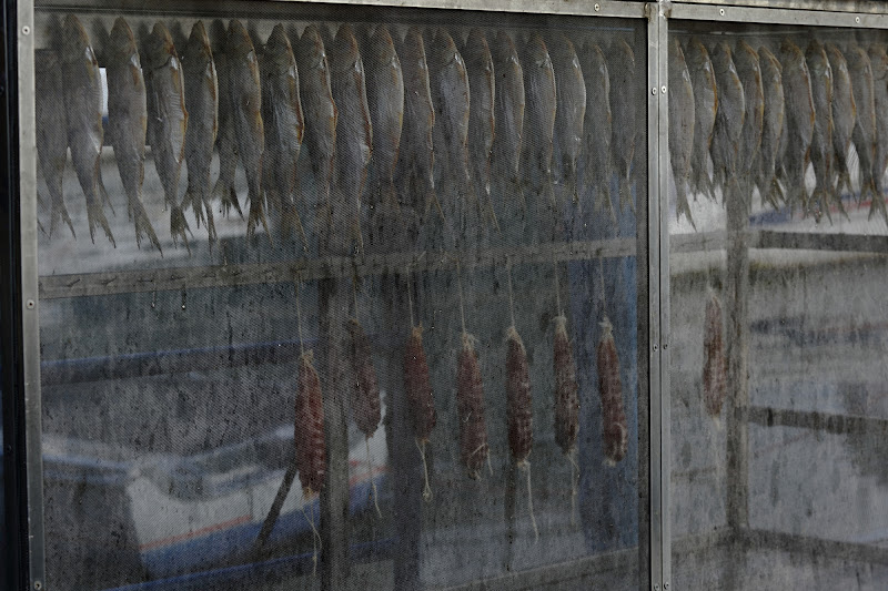 Essiccatura delle sardine a Montisola di Alessandro Gnocchi