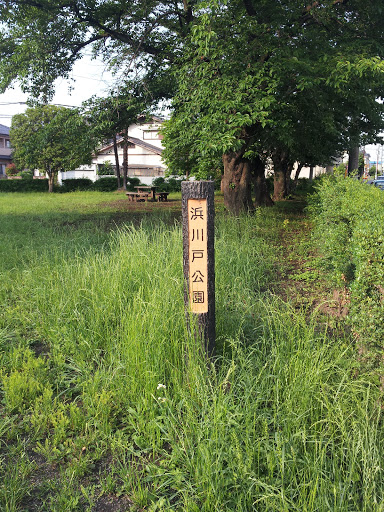 浜川戸公園　hamakawdo Park