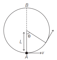 Vertical circular motion