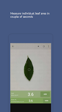 Petiole 2 Leaf Area Apps On Google Play