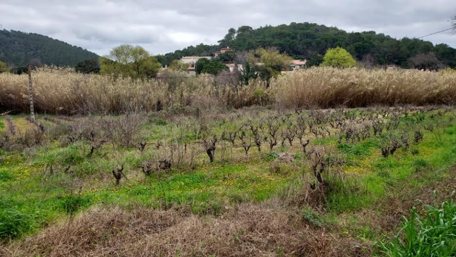 Vente terrain  643 m² à Pierrefeu-du-Var (83390), 190 000 €