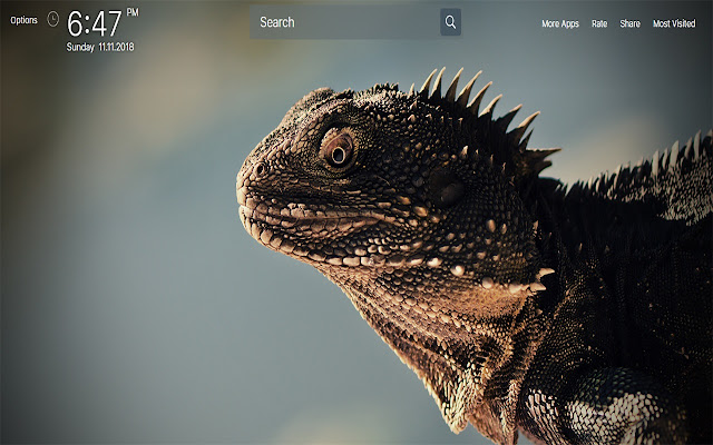 Lizard wallpapers New Tab