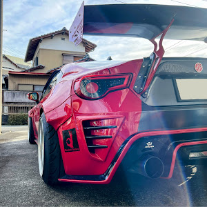 86 ZN6