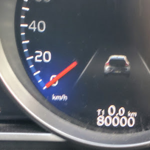 V40 D4