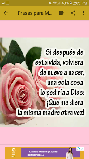 Feliz Día de la Madre