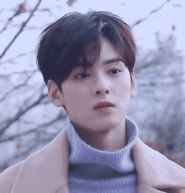 aesthetic cha eun woo suit